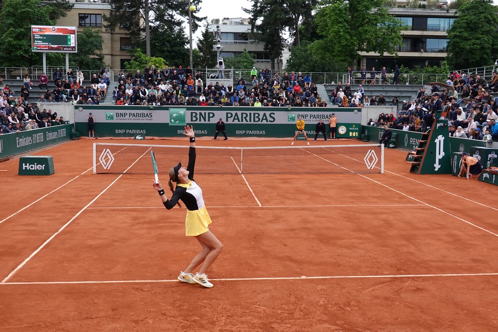 Martić vs. Mladenovic