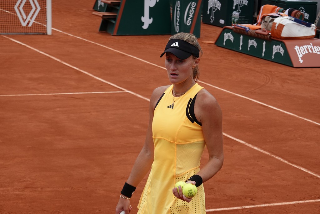 Martić vs. Mladenovic